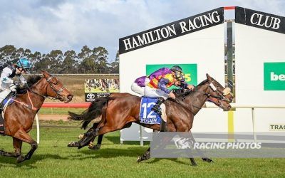 Tonnarella wins maiden at Hamilton