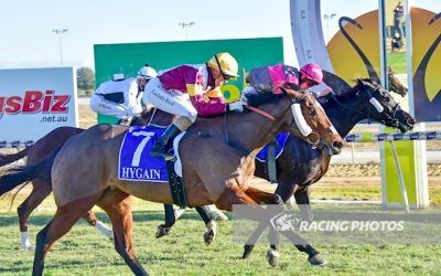 Queen Zyrah a winner over the Swan Hill carnival