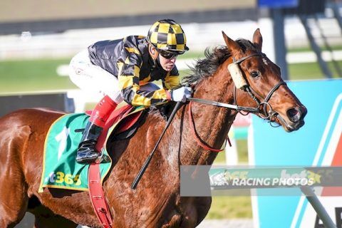 The Garden wins again - Wilde Racing