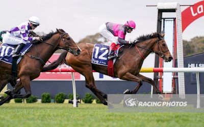 Sirileo shines at Sandown