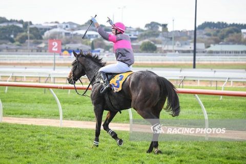 Gold Medals wins Champion Jumper of the Year Award - Wilde Racing