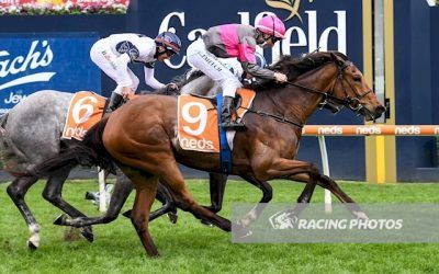 Group 3 success for Sirileo Miss