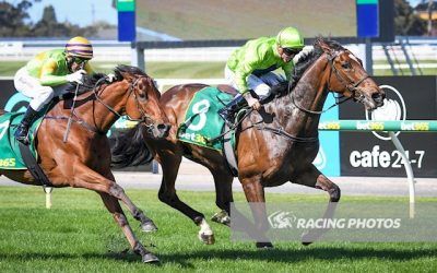 Tralee Rose wins Geelong Cup