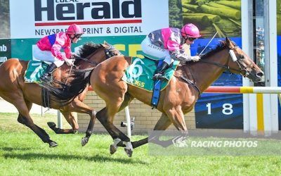 Aurora’s Symphony wins the Colac Cup