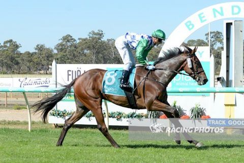 French Moon continues winning form - Wilde Racing