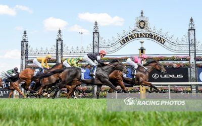 Glassey Miss wins the country final at Flemington