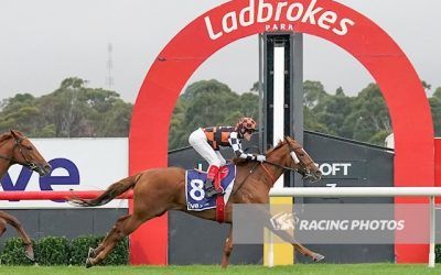 Street Delight wins at Sandown