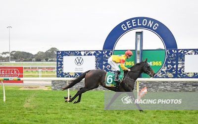 Consistent performer Kaituku gets the win at Geelong