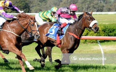 O’Reilly McLuke back in the winners stall