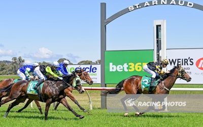 Celtic Brut a winner at St Arnaud