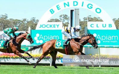 Hans and Darci win at Bendigo