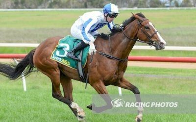 Maiden breakthrough for My Uncle Did It at Hamilton
