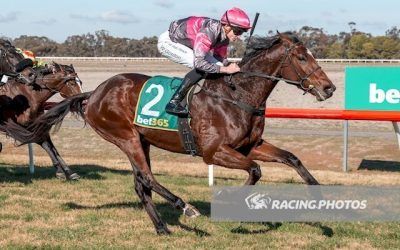 Plenty of Grunt wins at Donald