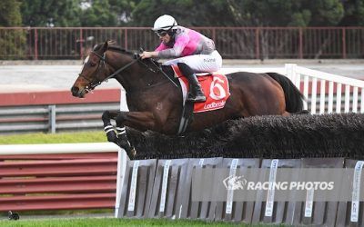 Up and comer Tolemac wins the Australian Steeple