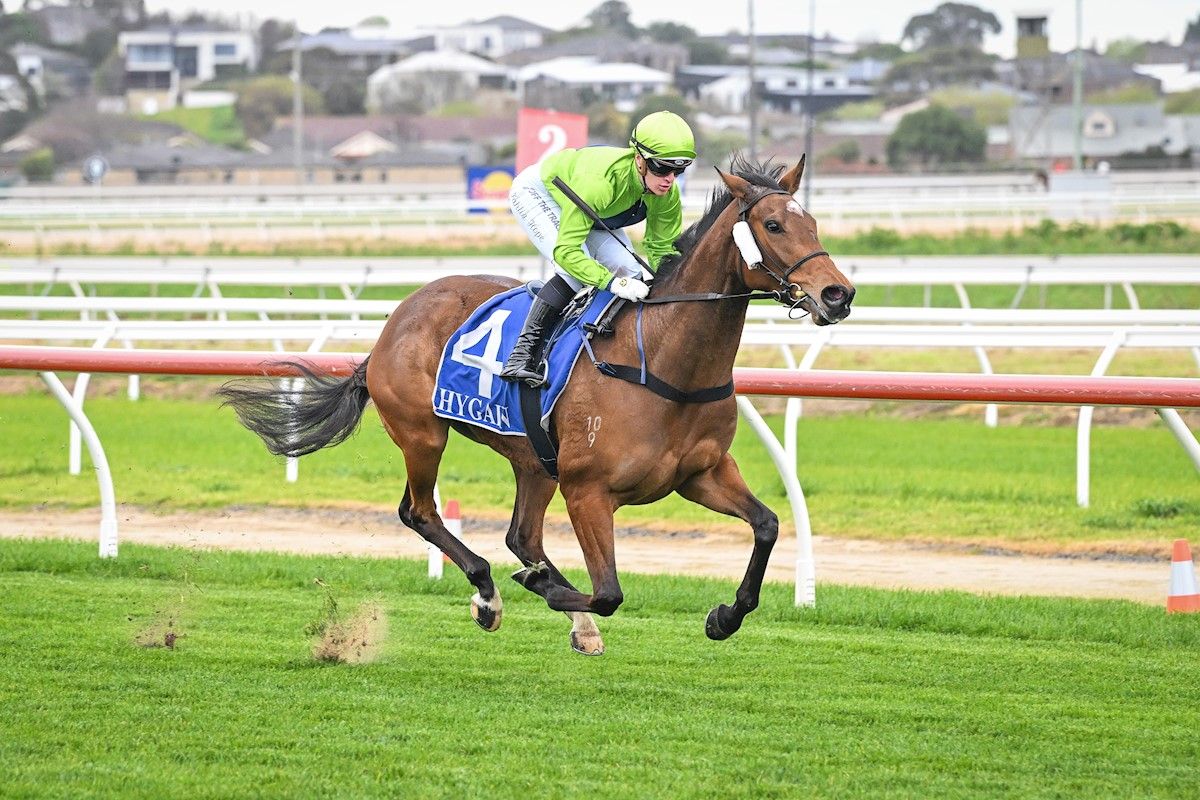 Warrnambool Double - Wilde Racing