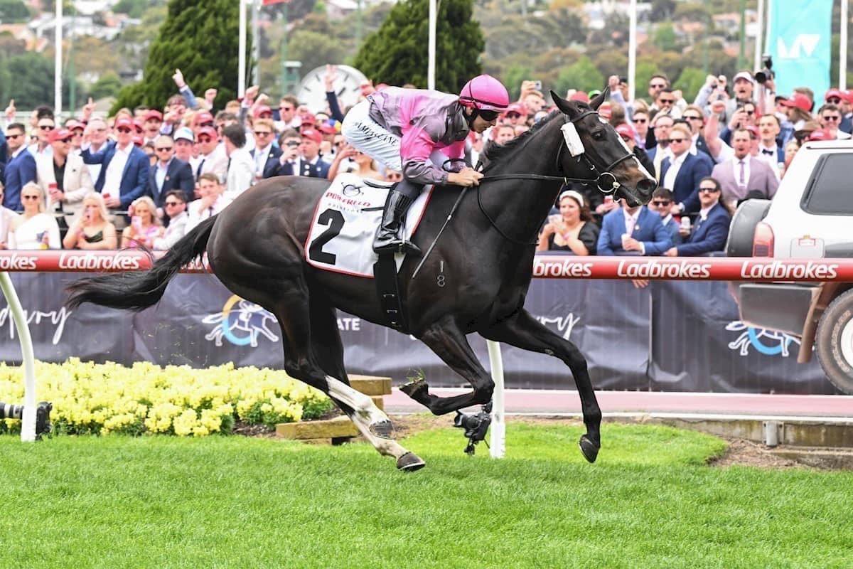 Group Success for Wishlor Lass - Wilde Racing