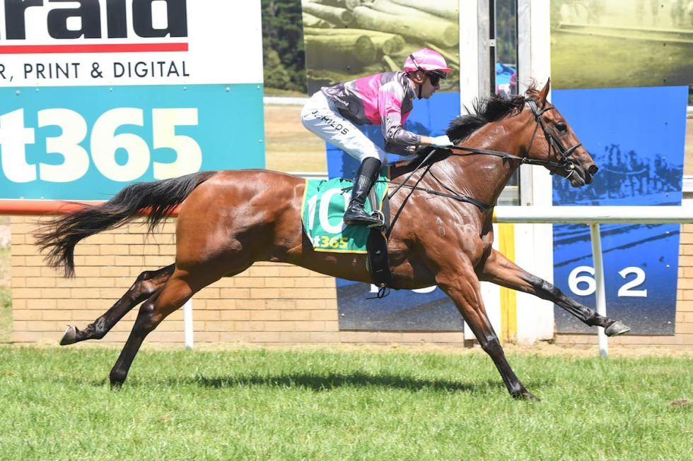 Successful weekend with 6 winners - Wilde Racing