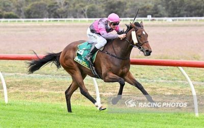 Boggy Creek Boys Goes One Better at Donald