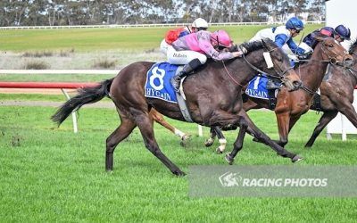 Double delight at Hamilton with Arizona Luck and Blazing Guru
