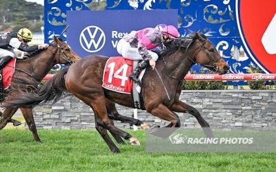 Tears Are Flowing kicks off career in winning style