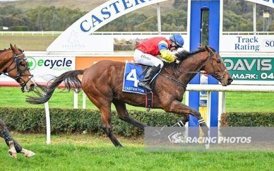 Golden Garden debuts a winner over the hurdles