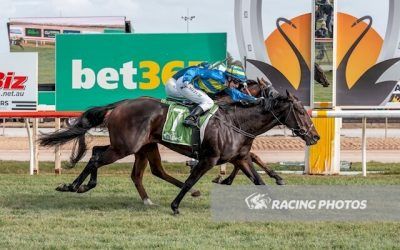Dobkins and Allouvre winners at Swan Hill