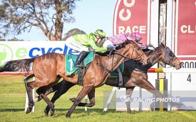 Spare Coin collects his first country cup