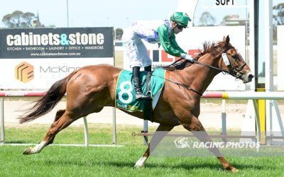 Sasqualah and Blazing Guru in the winners stall