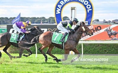 Stockman a hurdle winner