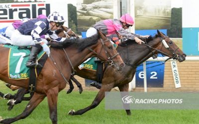 Colac Christmas meeting gives owners an early present