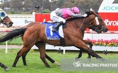 Tikemyson Triumphs at Bendigo