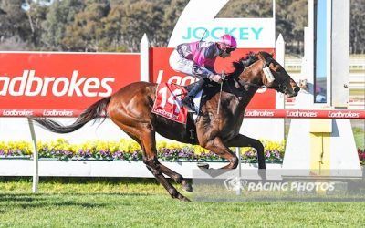 Sacred Eagle keeps running