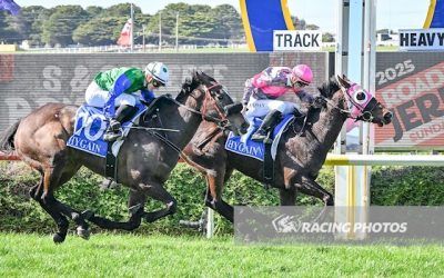 American Gas breaks his maiden