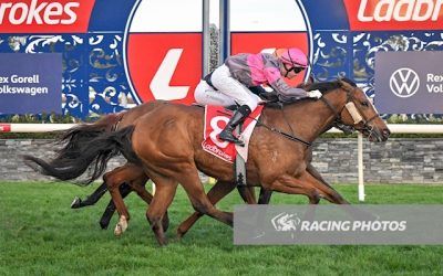 Tremamore Triumphs at Geelong