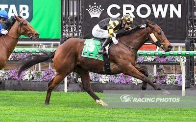 Persian Spirit stuns at Flemington