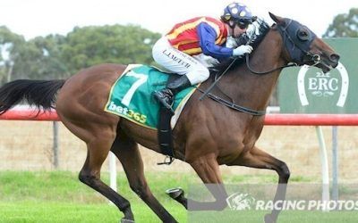 Khor Claims the Edenhope Cup, Delivering Back-to-Back Victories for Wilde Racing