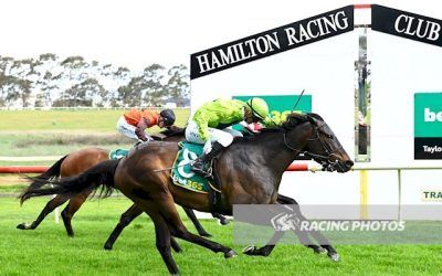 Navy King claims Hamilton Cup glory