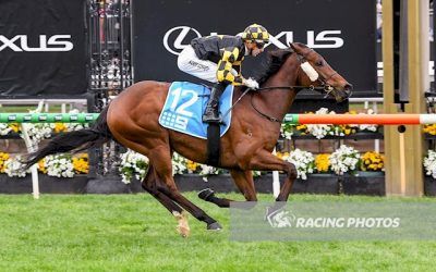 Persian Spirit Shines at Flemington