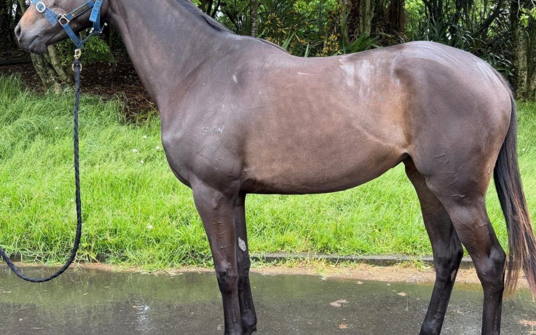 Ancient Spirit X Lorna’s Lass