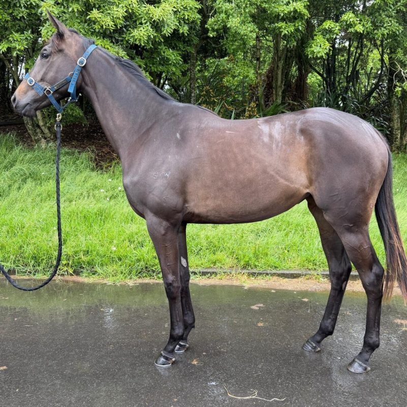 Ancient Spirit X Lorna’s Lass