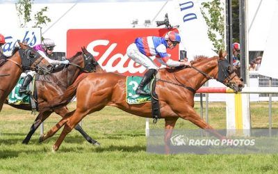 Mere Morsel Strikes at Dunkeld