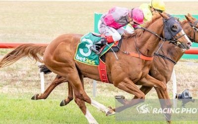 Success for Jotopeli at Donald