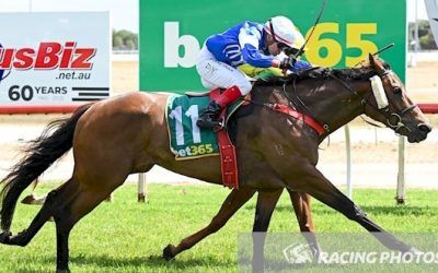 Star Testymony and Manhattan Mabs land a winning double at Swan Hill