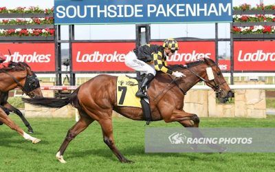 Persian Spirit too good at Pakenham