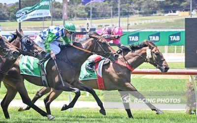 Reel Hot Signs Off 2025 With Home-Track Victory