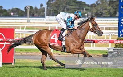 Amizetta gets the win at Geelong