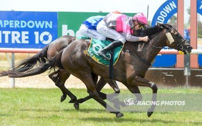 Sakakibara Scores on Debut at Camperdown
