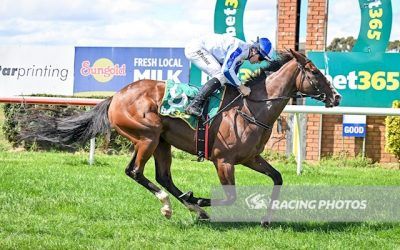 Terang Double for My Uncle Did It and Dobkins