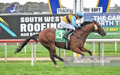 Wilde Racing Enjoys a Strong Run of Winners Over the Past Few Days