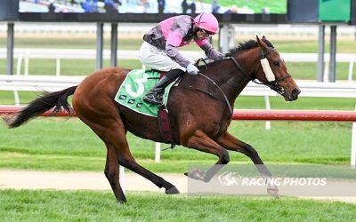 El James and Golden Garden Successful During the May Carnival